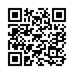 DIA728 QR code DIA728 QR code